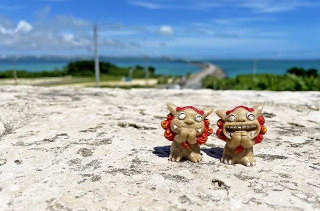 🛒 미야코시 어채시장 (미야코시 교사이 이치바) 이미지 5